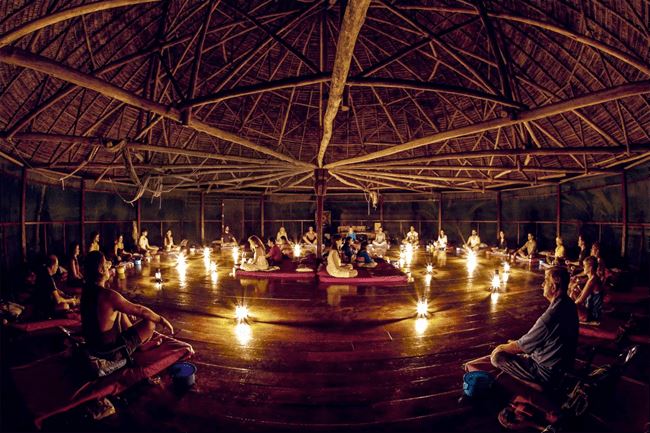 Ayahuasca Info The Definitive Guide Free The Wage Slave