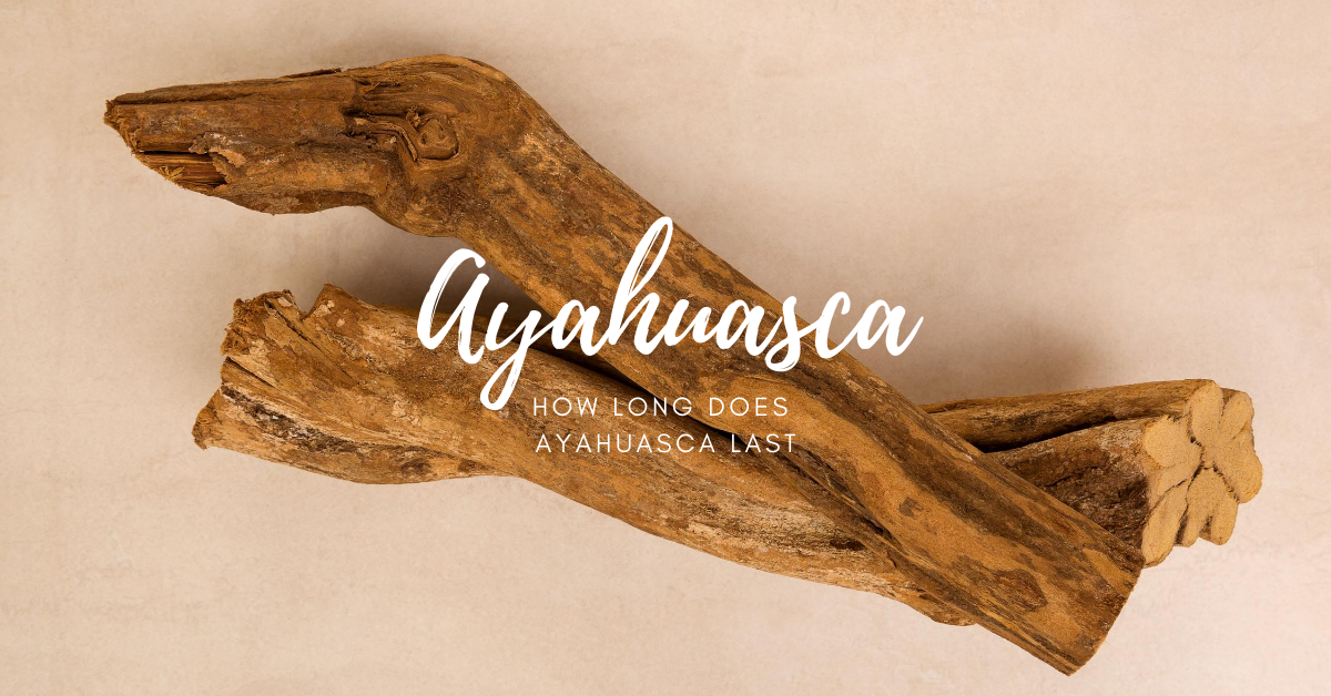 how long does ayahuasca last